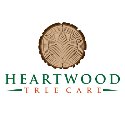 Tree Removal Services in Fredericton: Top Experts for Safe Tree Cutting